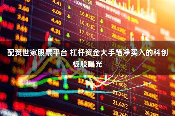 配资世家股票平台 杠杆资金大手笔净买入的科创板股曝光